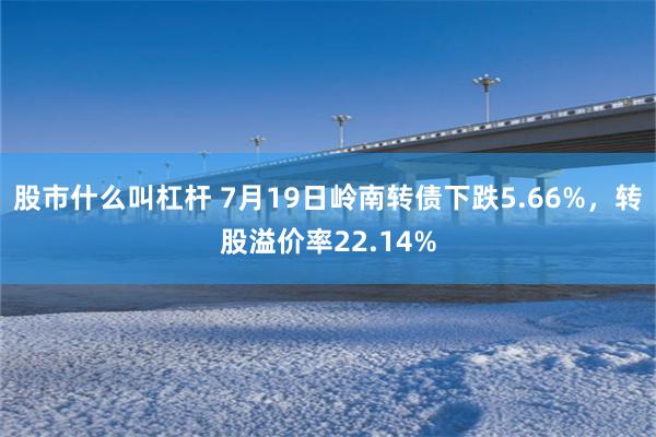 股市什么叫杠杆 7月19日岭南转债下跌5.66%，转股溢价率22.14%