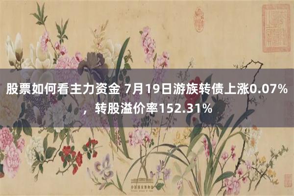 股票如何看主力资金 7月19日游族转债上涨0.07%，转股溢价率152.31%