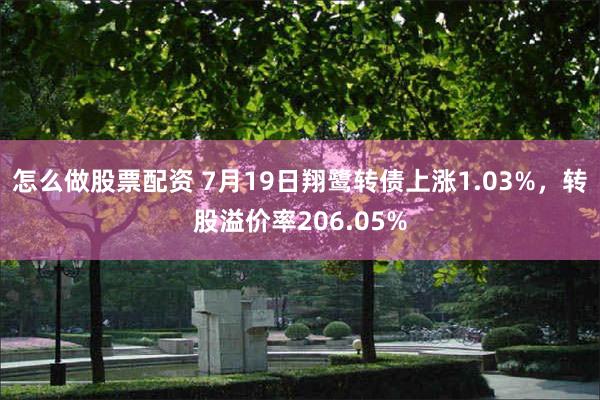 怎么做股票配资 7月19日翔鹭转债上涨1.03%，转股溢价率206.05%