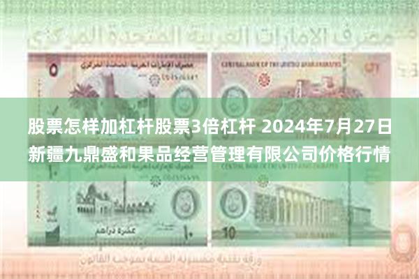 股票怎样加杠杆股票3倍杠杆 2024年7月27日新疆九鼎盛和果品经营管理有限公司价格行情