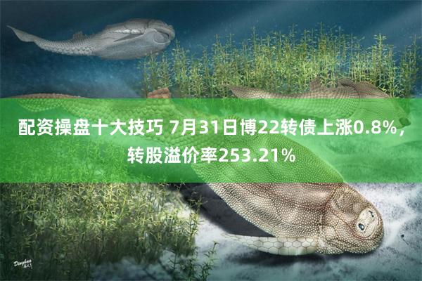 配资操盘十大技巧 7月31日博22转债上涨0.8%，转股溢价率253.21%