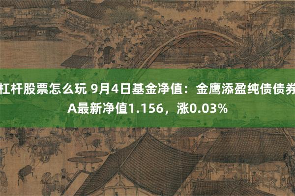 杠杆股票怎么玩 9月4日基金净值：金鹰添盈纯债债券A最新净值1.156，涨0.03%