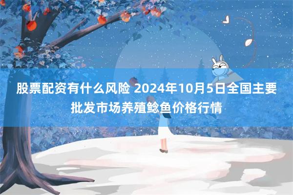 股票配资有什么风险 2024年10月5日全国主要批发市场养殖鲶鱼价格行情