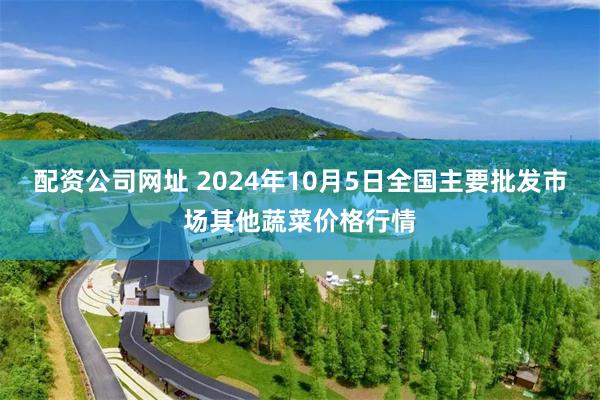 配资公司网址 2024年10月5日全国主要批发市场其他蔬菜价格行情