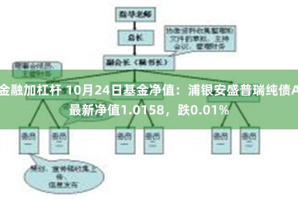 金融加杠杆 10月24日基金净值：浦银安盛普瑞纯债A最新净值1.0158，跌0.01%