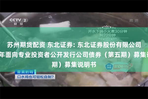 苏州期货配资 东北证券: 东北证券股份有限公司2024年面向专业投资者公开发行公司债券（第五期）募集说明书