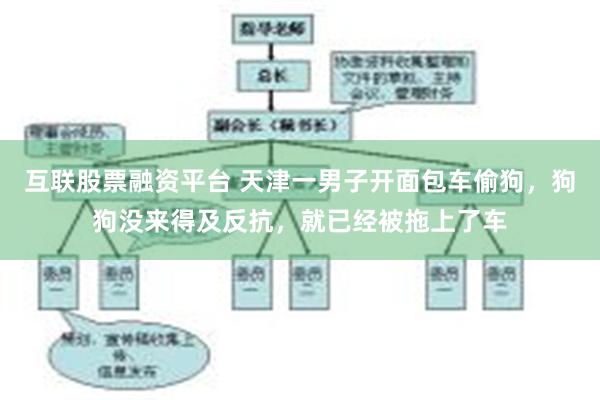 互联股票融资平台 天津一男子开面包车偷狗，狗狗没来得及反抗，就已经被拖上了车