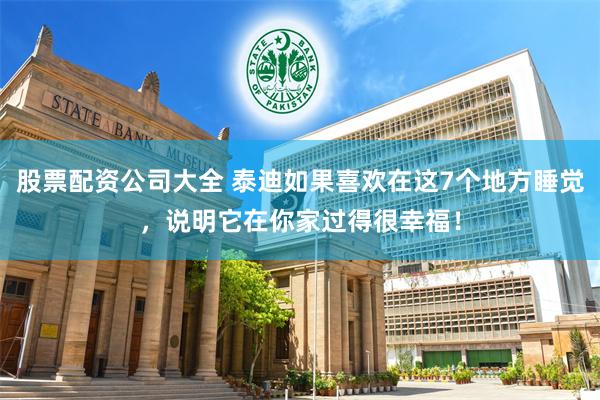 股票配资公司大全 泰迪如果喜欢在这7个地方睡觉，说明它在你家过得很幸福！