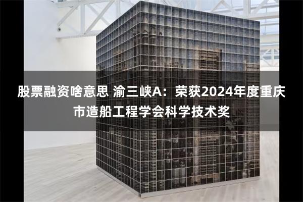 股票融资啥意思 渝三峡A：荣获2024年度重庆市造船工程学会科学技术奖