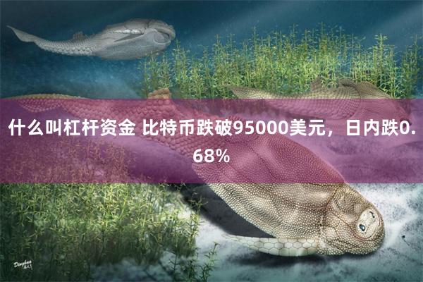 什么叫杠杆资金 比特币跌破95000美元，日内跌0.68%