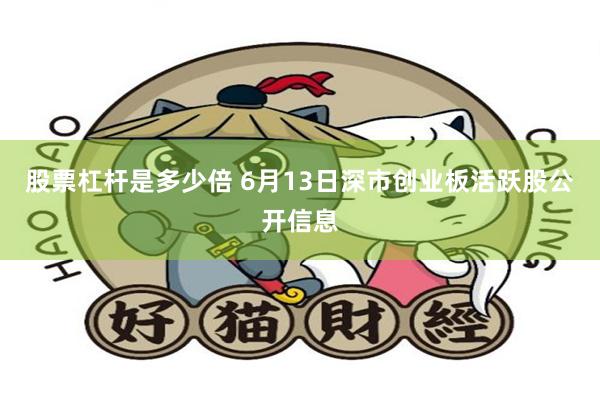 股票杠杆是多少倍 6月13日深市创业板活跃股公开信息